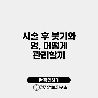 시술 후 붓기와 멍, 어떻게 관리할까?
