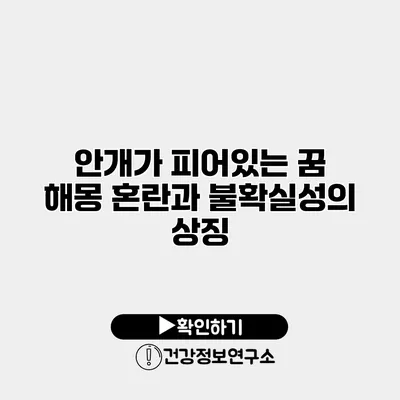 안개가 피어있는 꿈 해몽 혼란과 불확실성의 상징