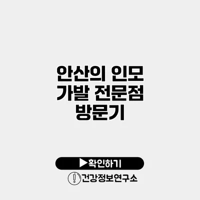 안산의 인모 가발 전문점 방문기