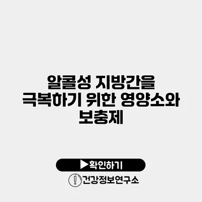 알콜성 지방간을 극복하기 위한 영양소와 보충제