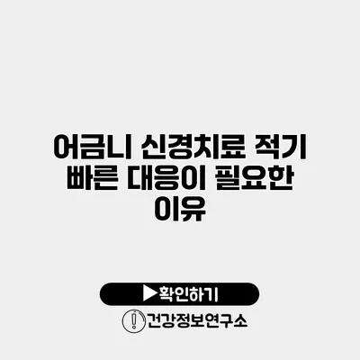어금니 신경치료 적기 빠른 대응이 필요한 이유