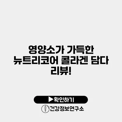 영양소가 가득한 뉴트리코어 콜라겐 담다 리뷰!