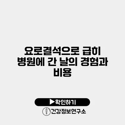 요로결석으로 급히 병원에 간 날의 경험과 비용