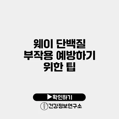 웨이 단백질 부작용 예방하기 위한 팁