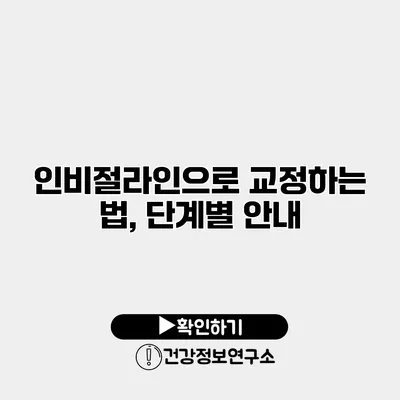 인비절라인으로 교정하는 법, 단계별 안내