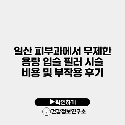 일산 피부과에서 무제한 용량 입술 필러 시술 비용 및 부작용 후기