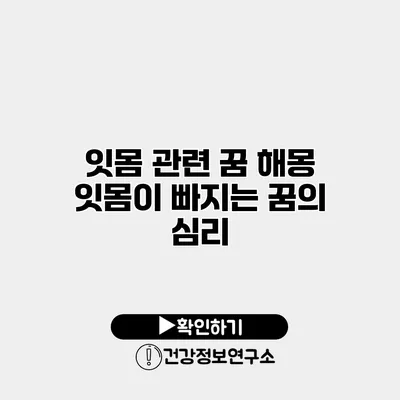 잇몸 관련 꿈 해몽 잇몸이 빠지는 꿈의 심리