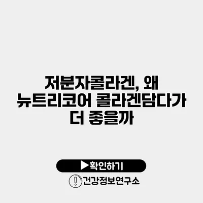 저분자콜라겐, 왜 뉴트리코어 콜라겐담다가 더 좋을까?
