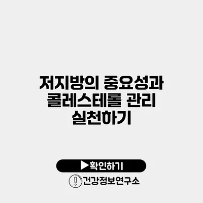 저지방의 중요성과 콜레스테롤 관리 실천하기