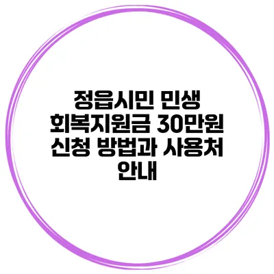 정읍시민 민생 회복지원금 30만원 신청 방법과 사용처 안내