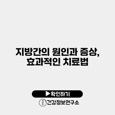 지방간의 원인과 증상, 효과적인 치료법