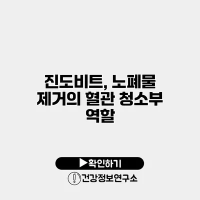 진도비트, 노폐물 제거의 혈관 청소부 역할