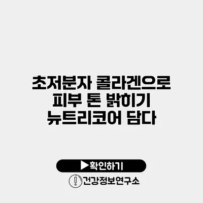 초저분자 콜라겐으로 피부 톤 밝히기 뉴트리코어 담다