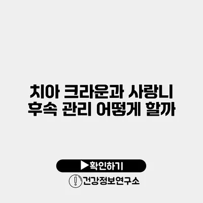 치아 크라운과 사랑니 후속 관리 어떻게 할까?