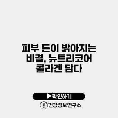 피부 톤이 밝아지는 비결, 뉴트리코어 콜라겐 담다