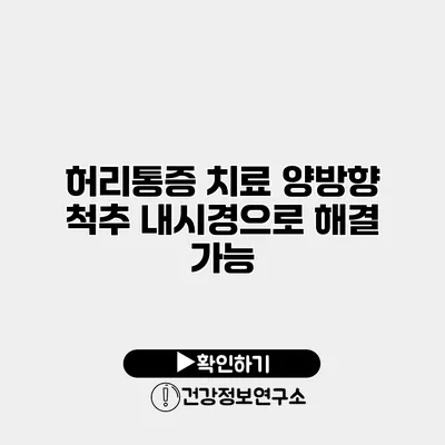 허리통증 치료 양방향 척추 내시경으로 해결 가능?