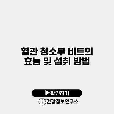 혈관 청소부 비트의 효능 및 섭취 방법