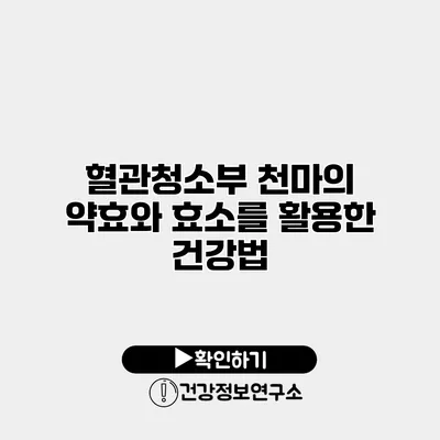 혈관청소부 천마의 약효와 효소를 활용한 건강법