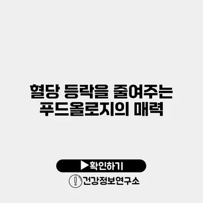 혈당 등락을 줄여주는 푸드올로지의 매력