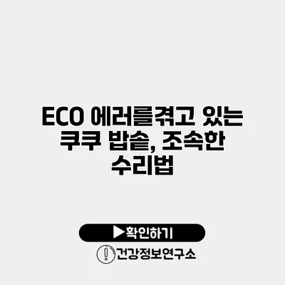 ECO 에러를겪고 있는 쿠쿠 밥솥, 조속한 수리법