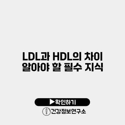 LDL과 HDL의 차이 알아야 할 필수 지식