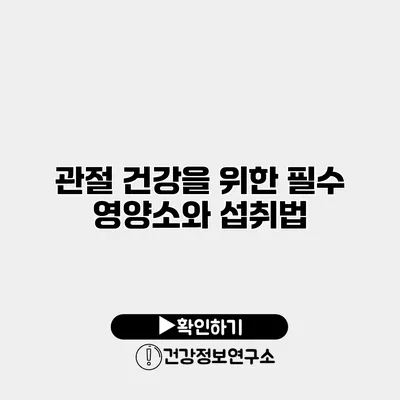 관절 건강을 위한 필수 영양소와 섭취법