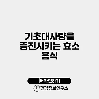 기초대사량을 증진시키는 효소 음식