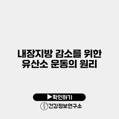 내장지방 감소를 위한 유산소 운동의 원리