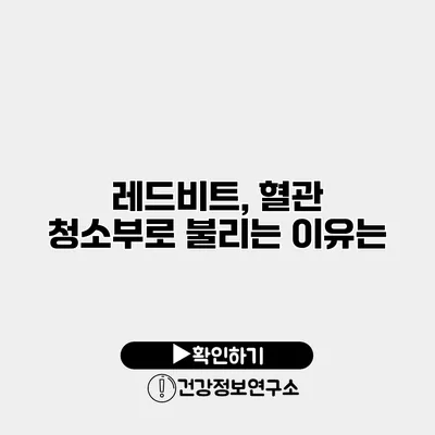 레드비트, 혈관 청소부로 불리는 이유는?