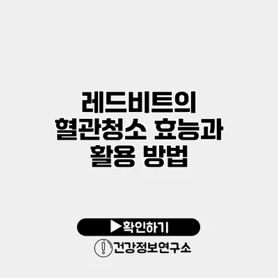 레드비트의 혈관청소 효능과 활용 방법