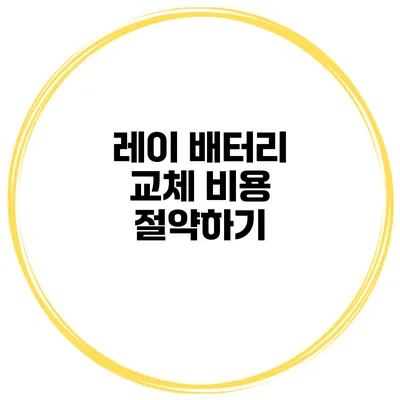 레이 배터리 교체 비용 절약하기