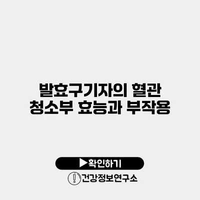 발효구기자의 혈관 청소부 효능과 부작용
