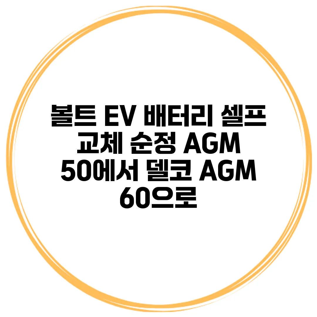 볼트 EV 배터리 셀프 교체 순정 AGM 50에서 델코 AGM 60으로