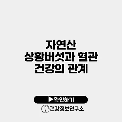 자연산 상황버섯과 혈관 건강의 관계