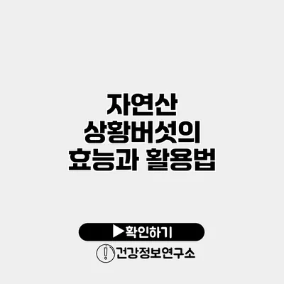 자연산 상황버섯의 효능과 활용법