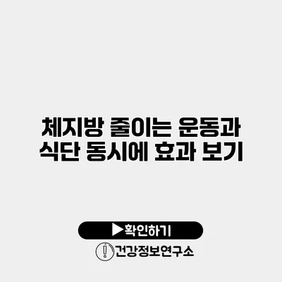 체지방 줄이는 운동과 식단 동시에 효과 보기