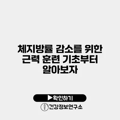 체지방률 감소를 위한 근력 훈련 기초부터 알아보자