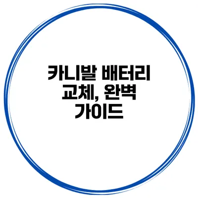 카니발 배터리 교체, 완벽 가이드