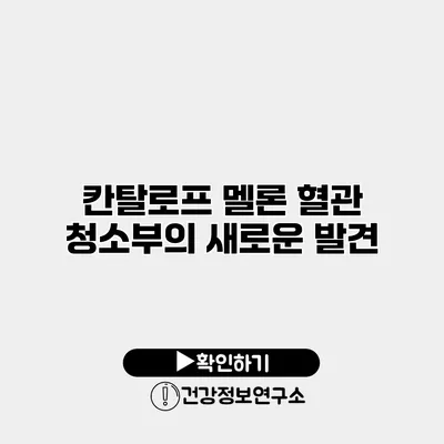 칸탈로프 멜론 혈관 청소부의 새로운 발견