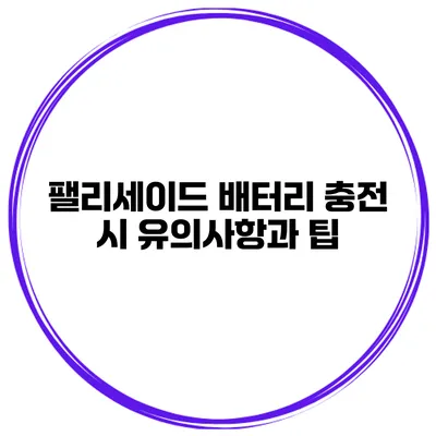 팰리세이드 배터리 충전 시 유의사항과 팁