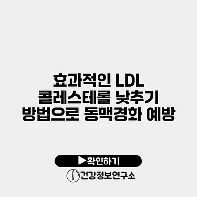 효과적인 LDL 콜레스테롤 낮추기 방법으로 동맥경화 예방