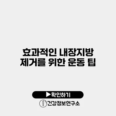 효과적인 내장지방 제거를 위한 운동 팁